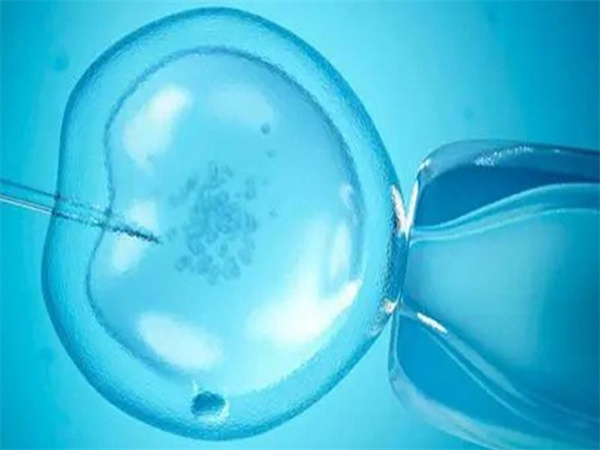 多囊治不好可以做试管婴儿吗